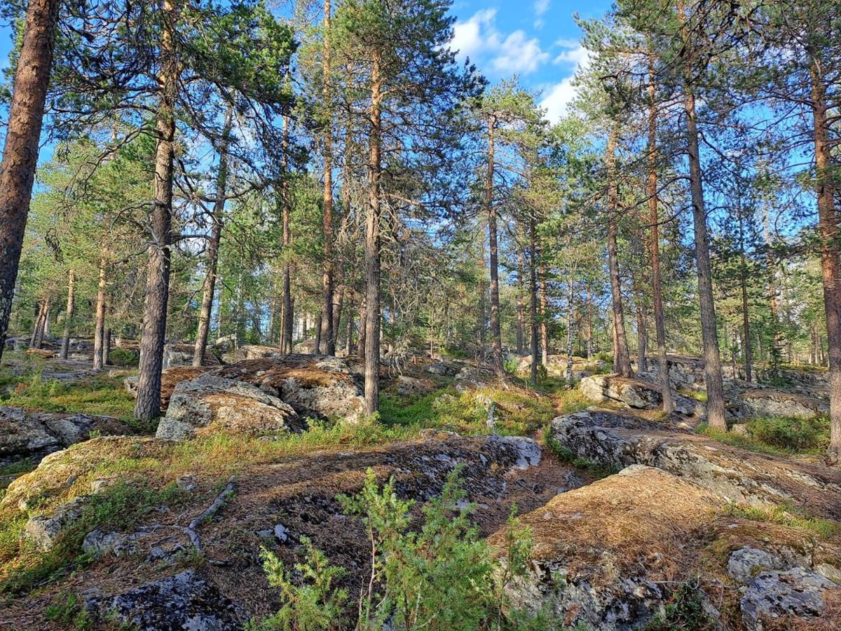 Room In Polar Circle Ροβανιέμι Εξωτερικό φωτογραφία